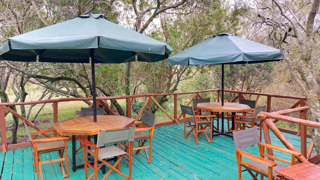 Greenwood Safari Camp Talek Eksteriør billede