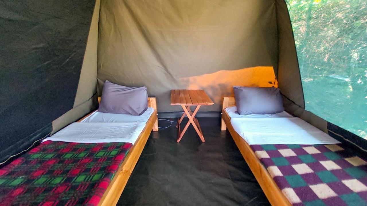 Greenwood Safari Camp Talek Eksteriør billede
