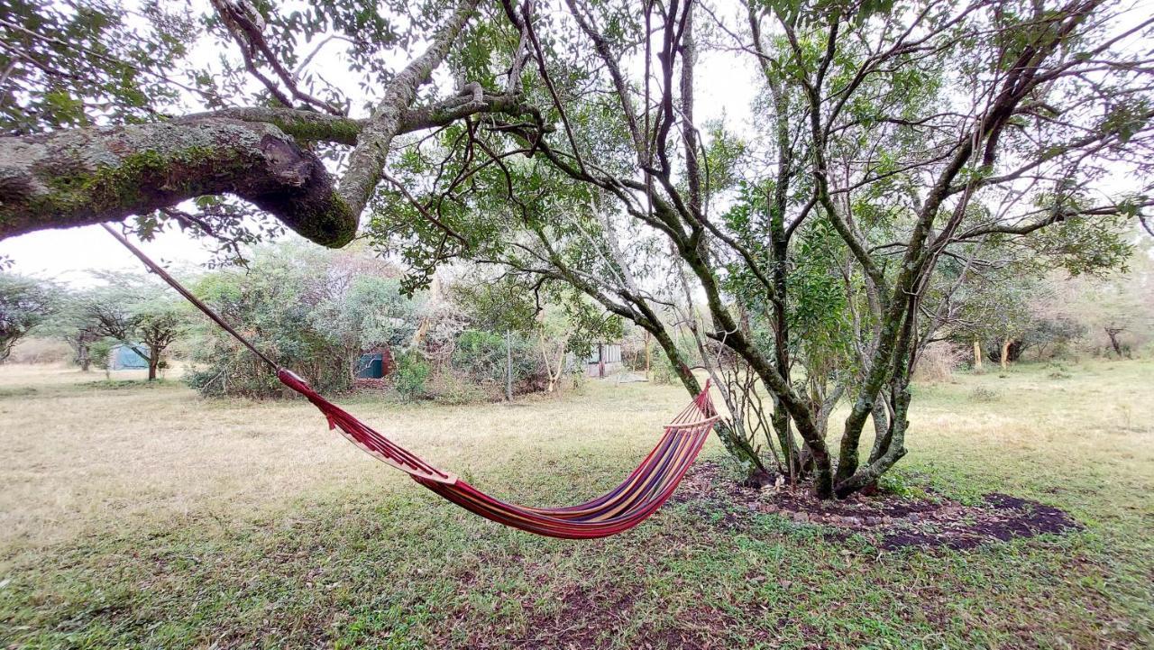 Greenwood Safari Camp Talek Eksteriør billede