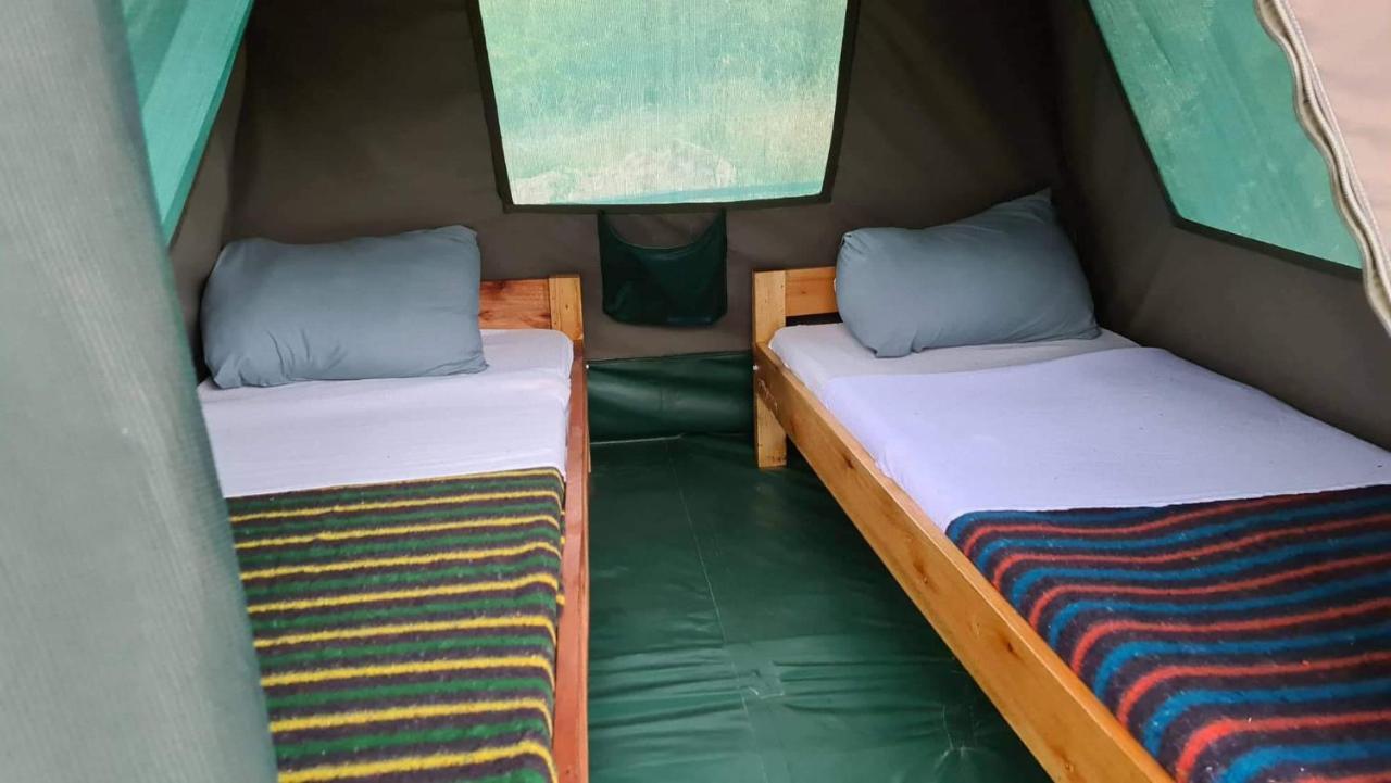 Greenwood Safari Camp Talek Eksteriør billede