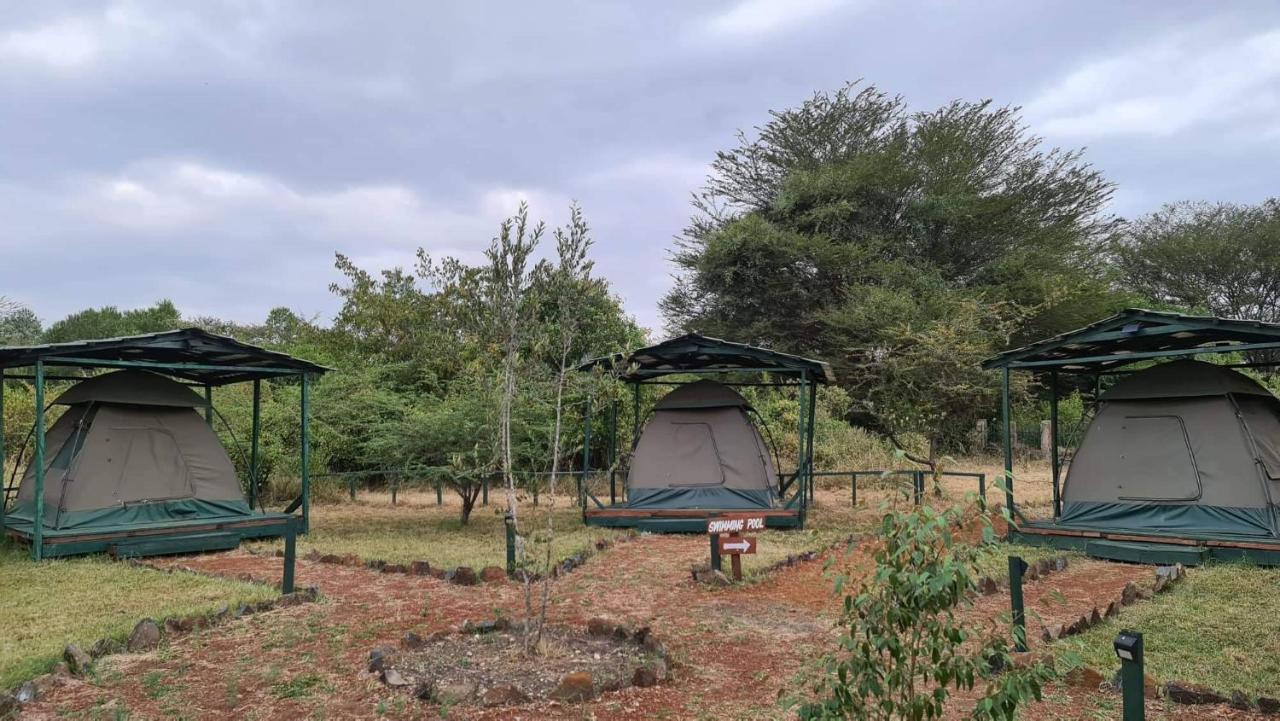 Greenwood Safari Camp Talek Eksteriør billede