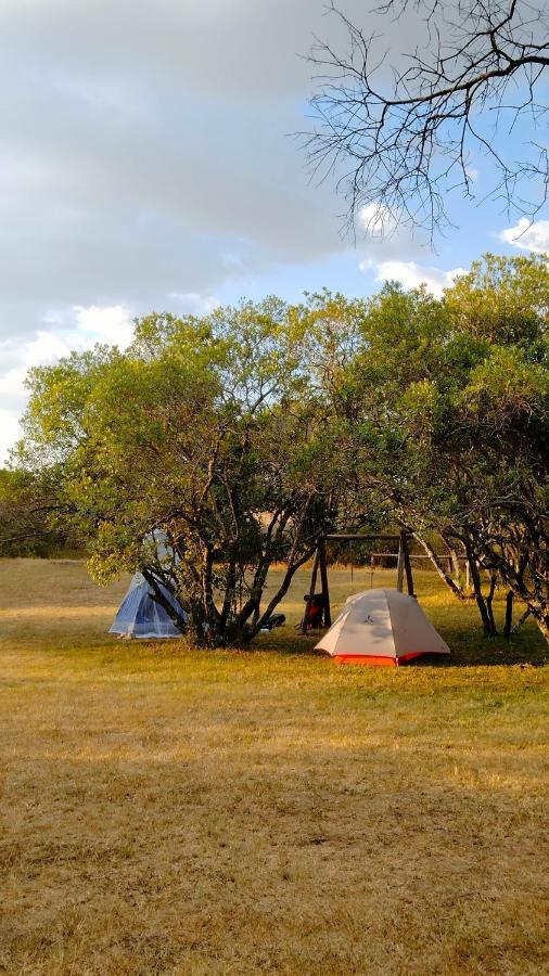 Greenwood Safari Camp Talek Eksteriør billede