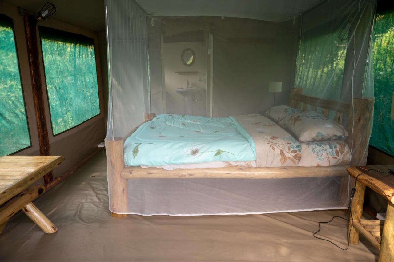 Greenwood Safari Camp Talek Eksteriør billede