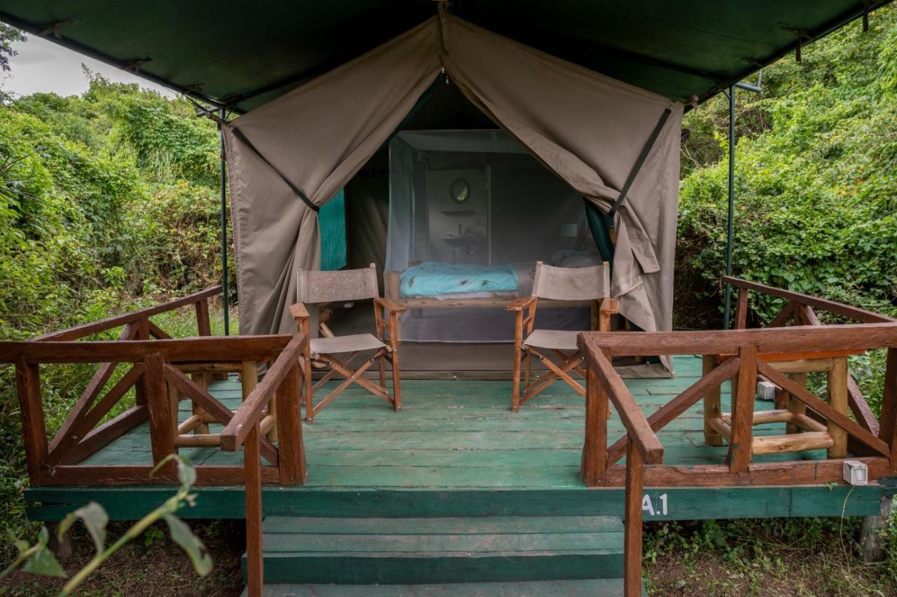 Greenwood Safari Camp Talek Eksteriør billede