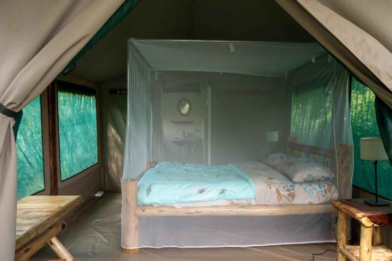 Greenwood Safari Camp Talek Eksteriør billede